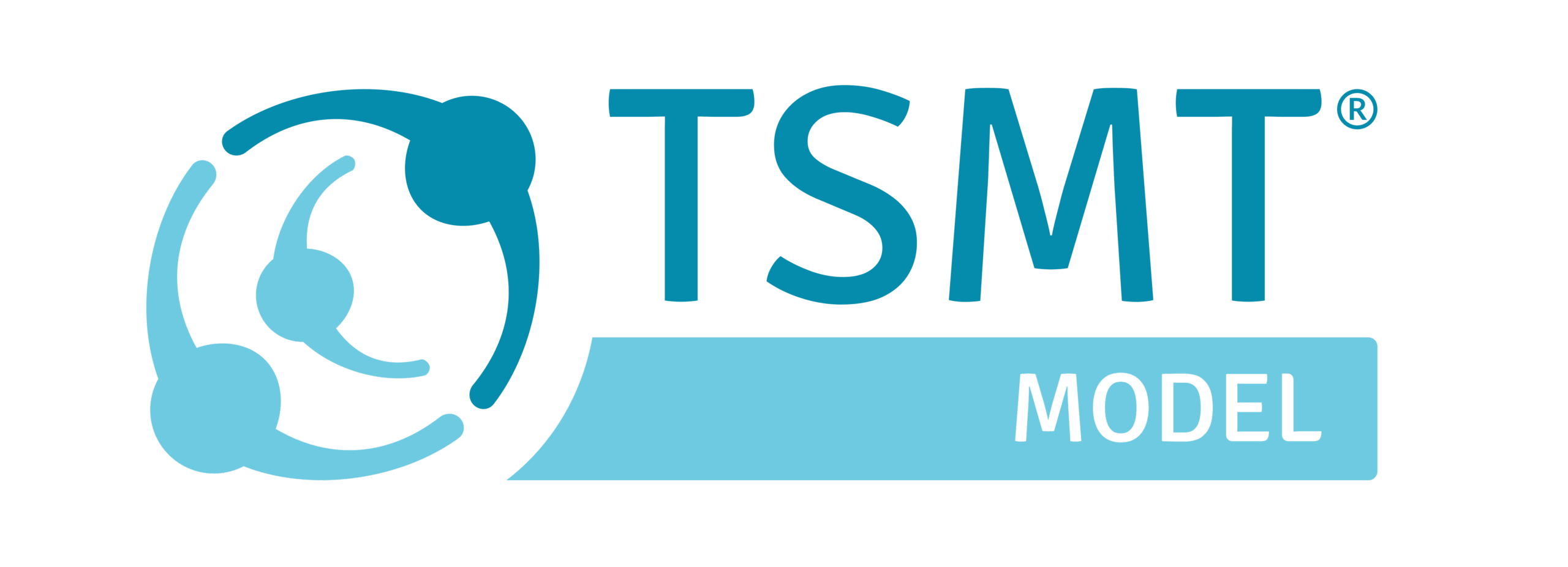 tsmtmodel.sk
